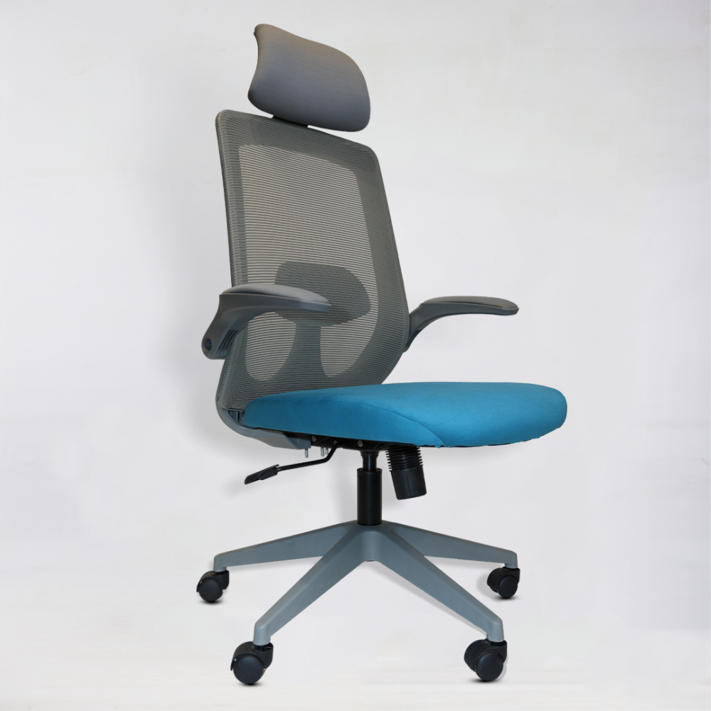 premium office chair in Ahmedabad