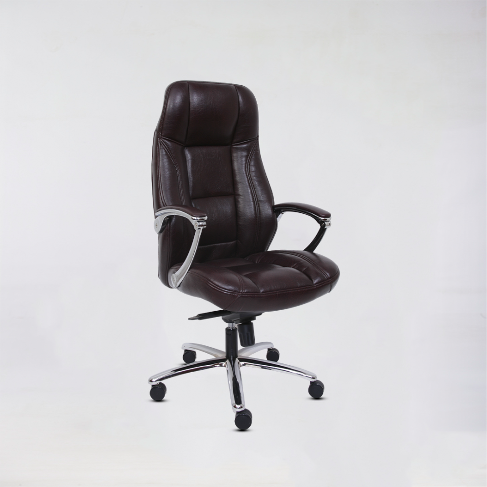 President Chair in Ahmedabad